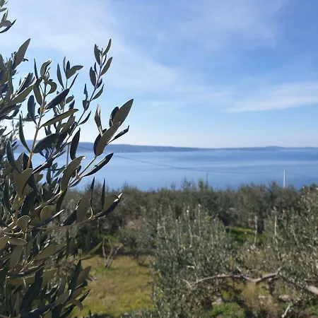 Lavnda Jesenice (Split-Dalmatia)