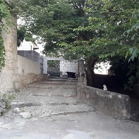 Lavnda * Jesenice (Split-Dalmatia)